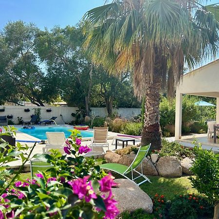 Mini Villa Pascal Paoli Avec Piscine - Proche Mer Prunelli-di-Fiumorbo Εξωτερικό φωτογραφία
