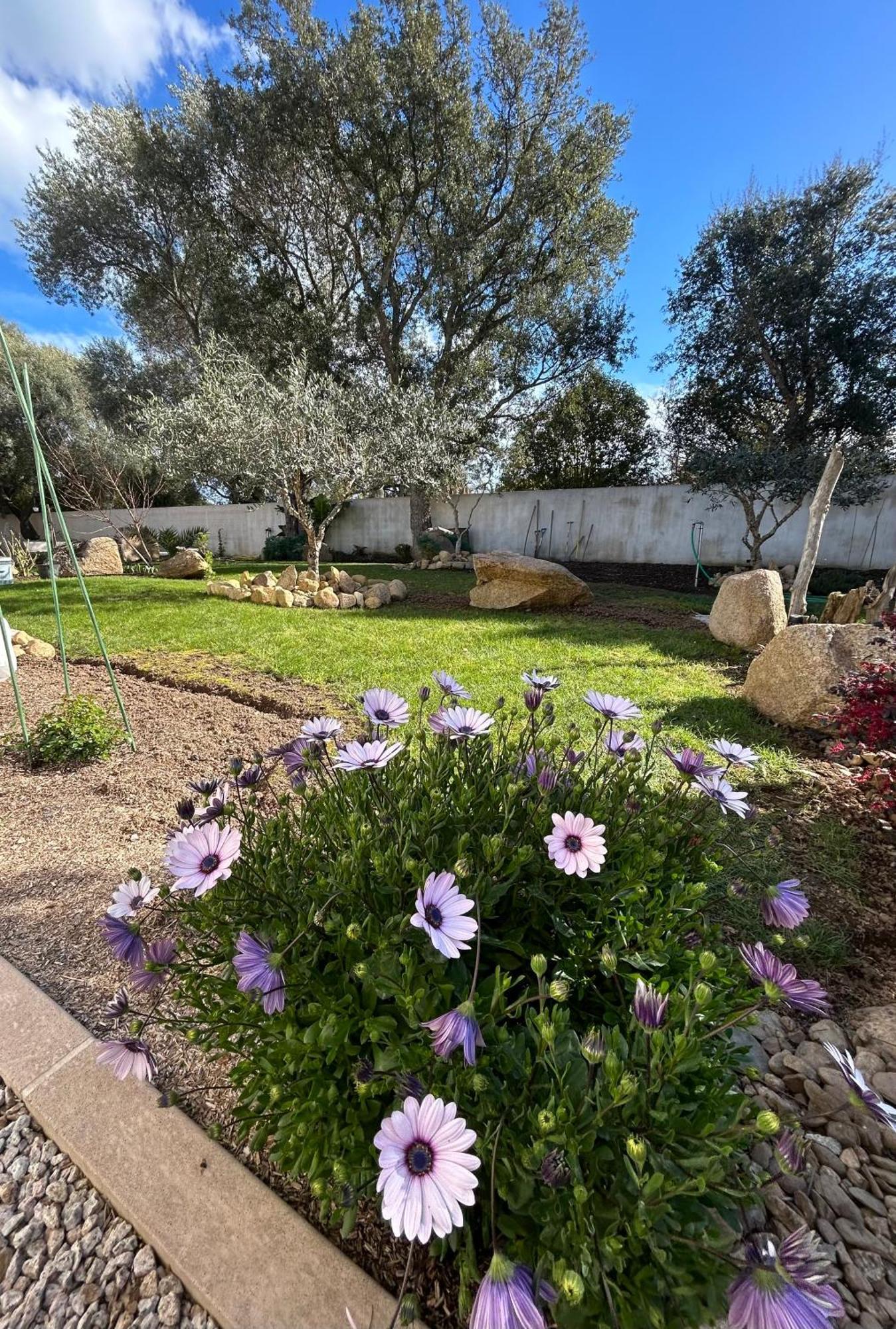 Mini Villa Pascal Paoli Avec Piscine - Proche Mer Prunelli-di-Fiumorbo Εξωτερικό φωτογραφία
