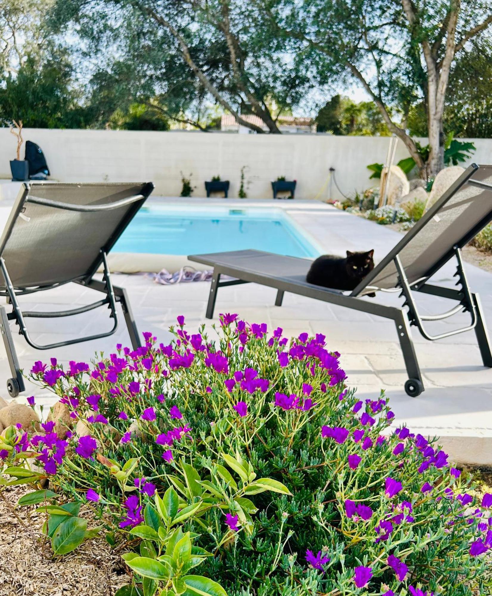 Mini Villa Pascal Paoli Avec Piscine - Proche Mer Prunelli-di-Fiumorbo Εξωτερικό φωτογραφία