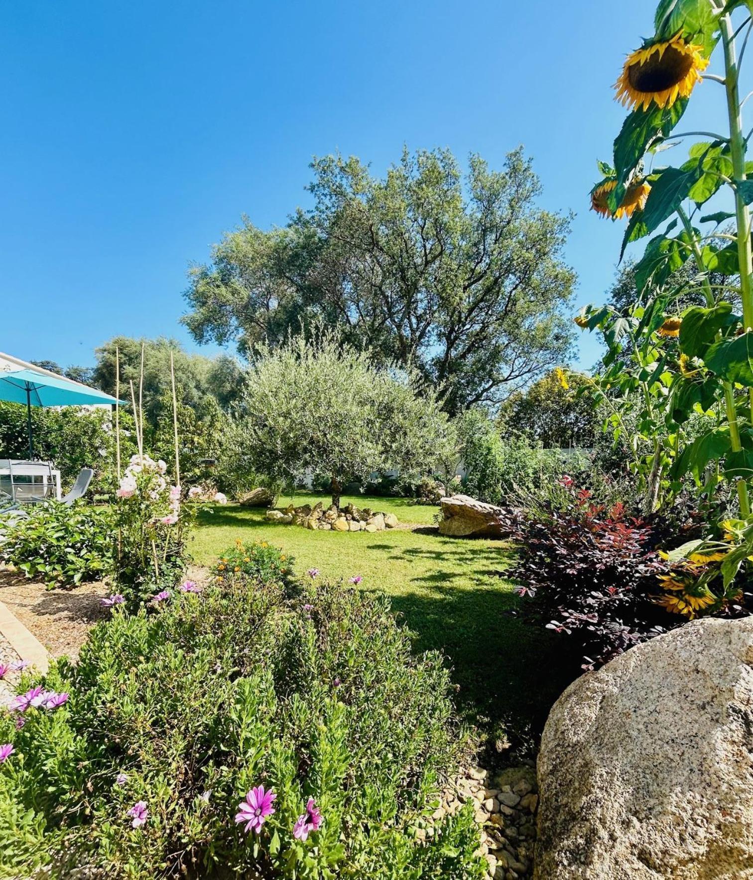 Mini Villa Pascal Paoli Avec Piscine - Proche Mer Prunelli-di-Fiumorbo Εξωτερικό φωτογραφία
